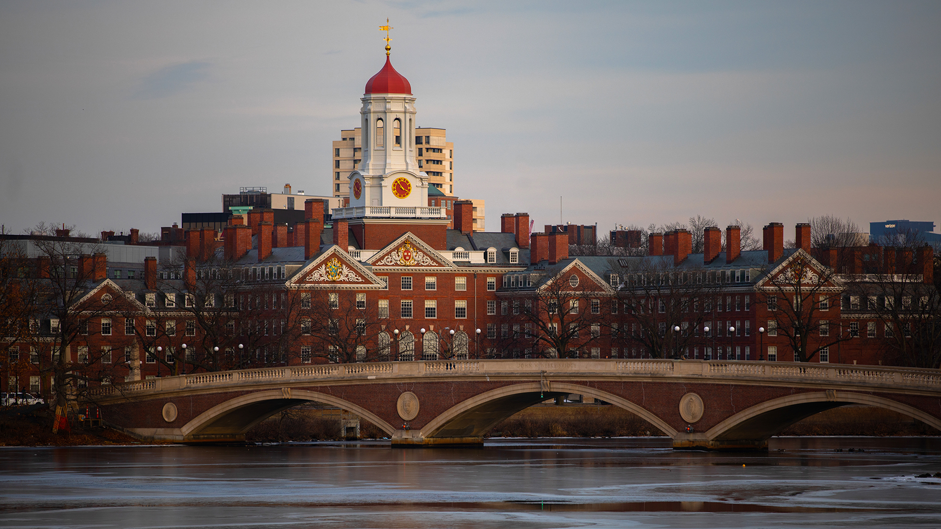 harvard campus